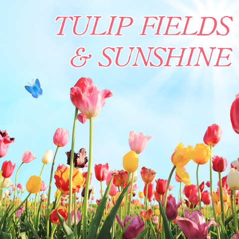 Spring Collection: TULIP FIELDS & SUNSHINE