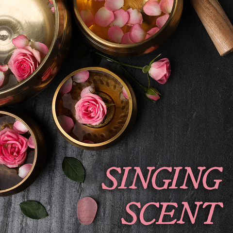 Fan Collection: SINGING SCENT