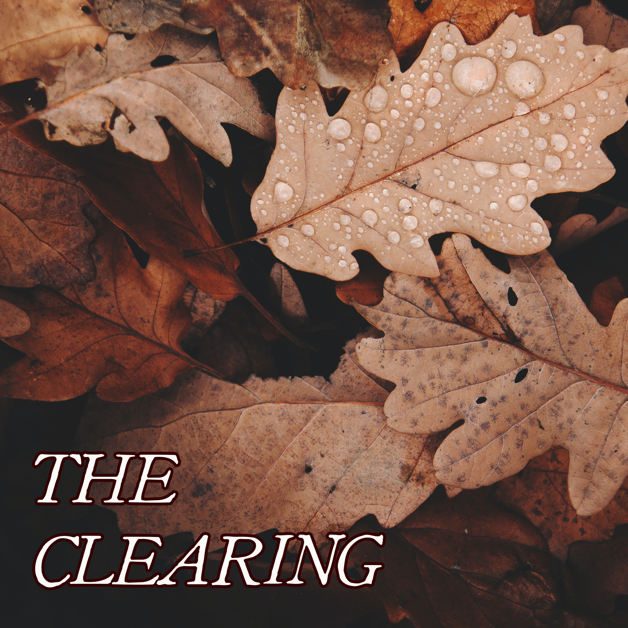 Autumn Collection: THE CLEARING