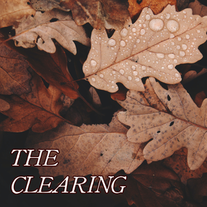 Autumn Collection: THE CLEARING
