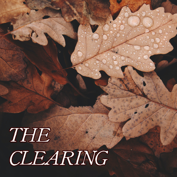 Autumn Collection: THE CLEARING